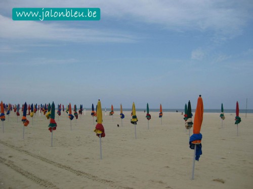 deauville et ses parasols.jpg