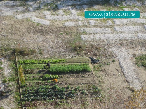 Faire son jardin.jpg