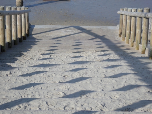 disparitions,seniors,alzheimer,protocole,home,sécurité,mémoire