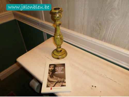 Livre  Ma robe n'est pas froissée.jpg