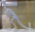 bernissart,machi,ne à feu,charbonnage,newcomen