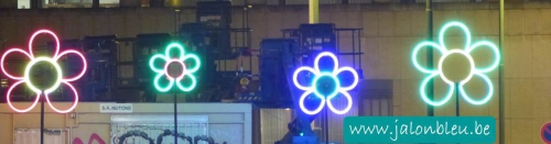 bruxelles,be bright,plaisirs d'hiver 2015,nomad flowersers