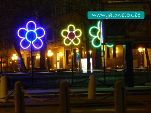 bruxelles,be bright,plaisirs d'hiver 2015,nomad flowersers