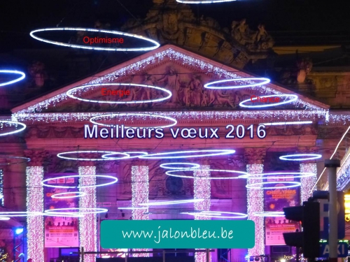 Voeux2015 Jalon - Copie.jpg