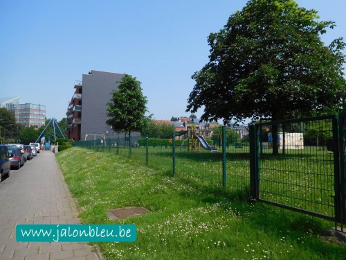 locataire senior,protection,belgique