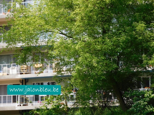 seniors,location,prorogation,circonstances exceptionnelles