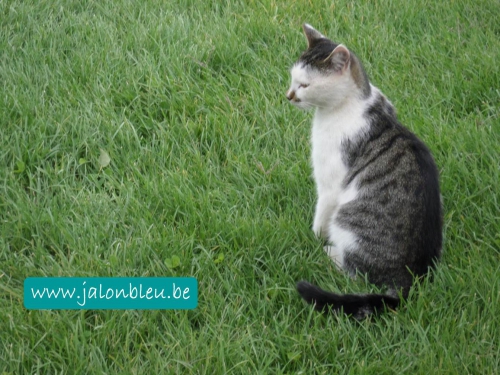 corinne hoex,mère,fille,fin de vie