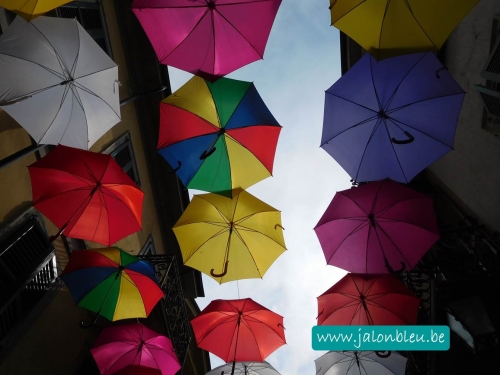 Photos2015 - Copie.jpg